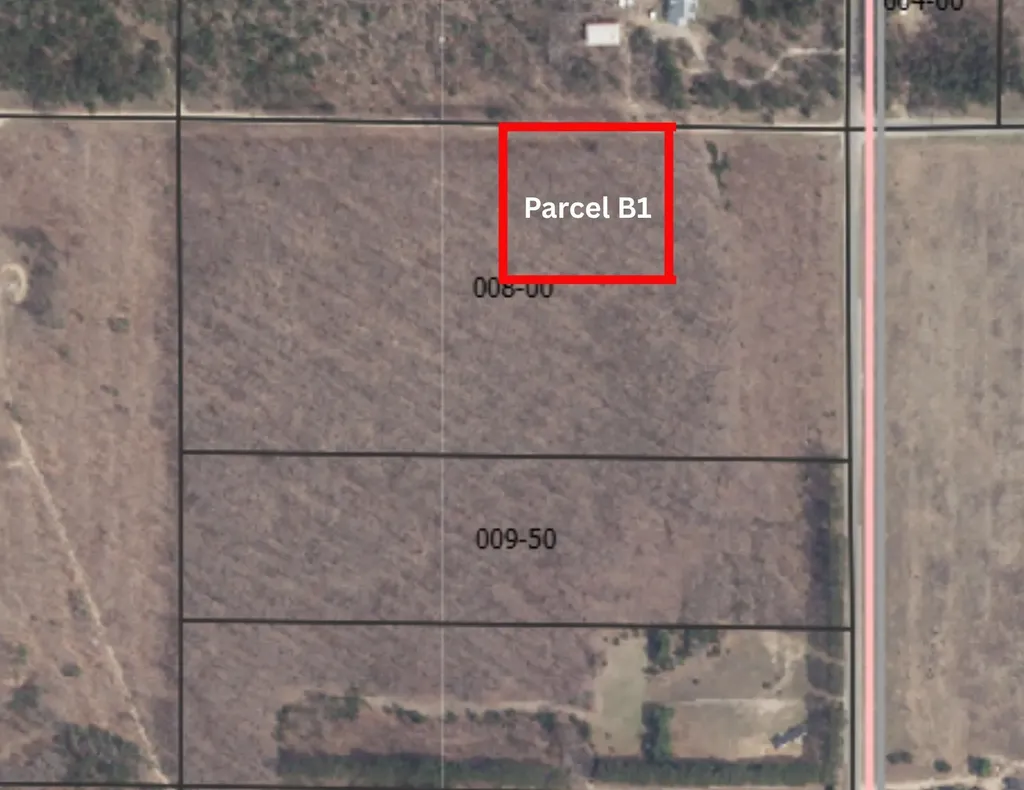 Parcel B1 Peterson Road Custer Township MI 49659