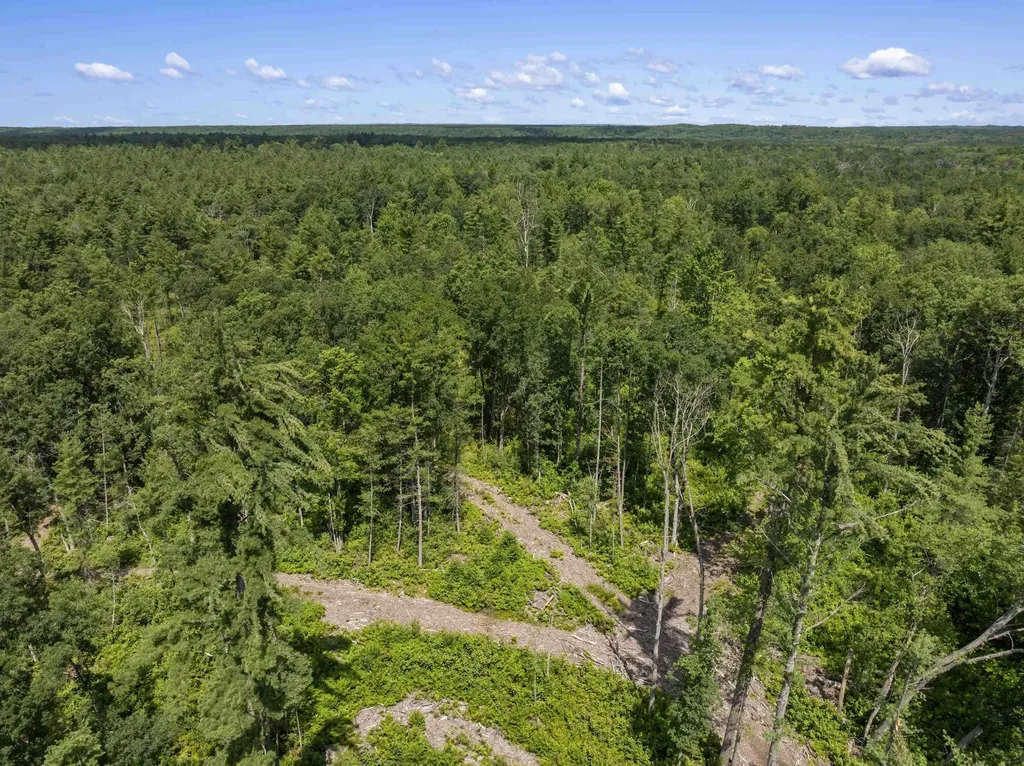 10530 W 48 1/2 Road South Branch Township MI 49689