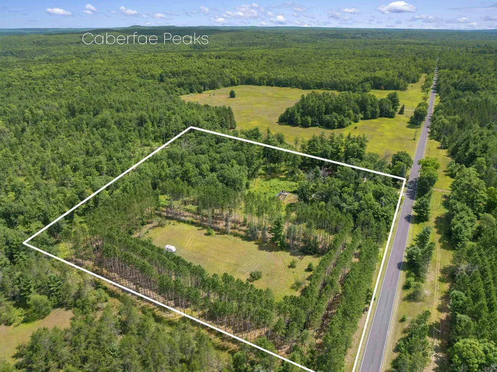 10530 W 48 1/2 Road South Branch Township MI 49689