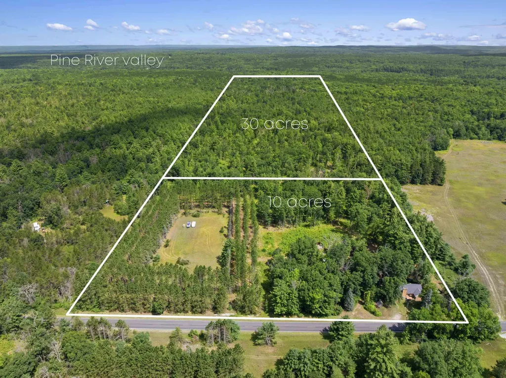 10530 W 48 1/2 Road South Branch Township MI 49689