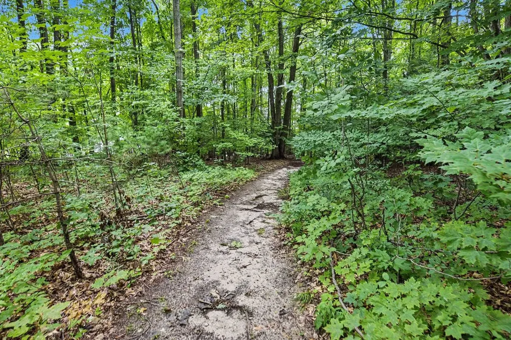 9307 Evergreen Drive Almira Township MI 49684
