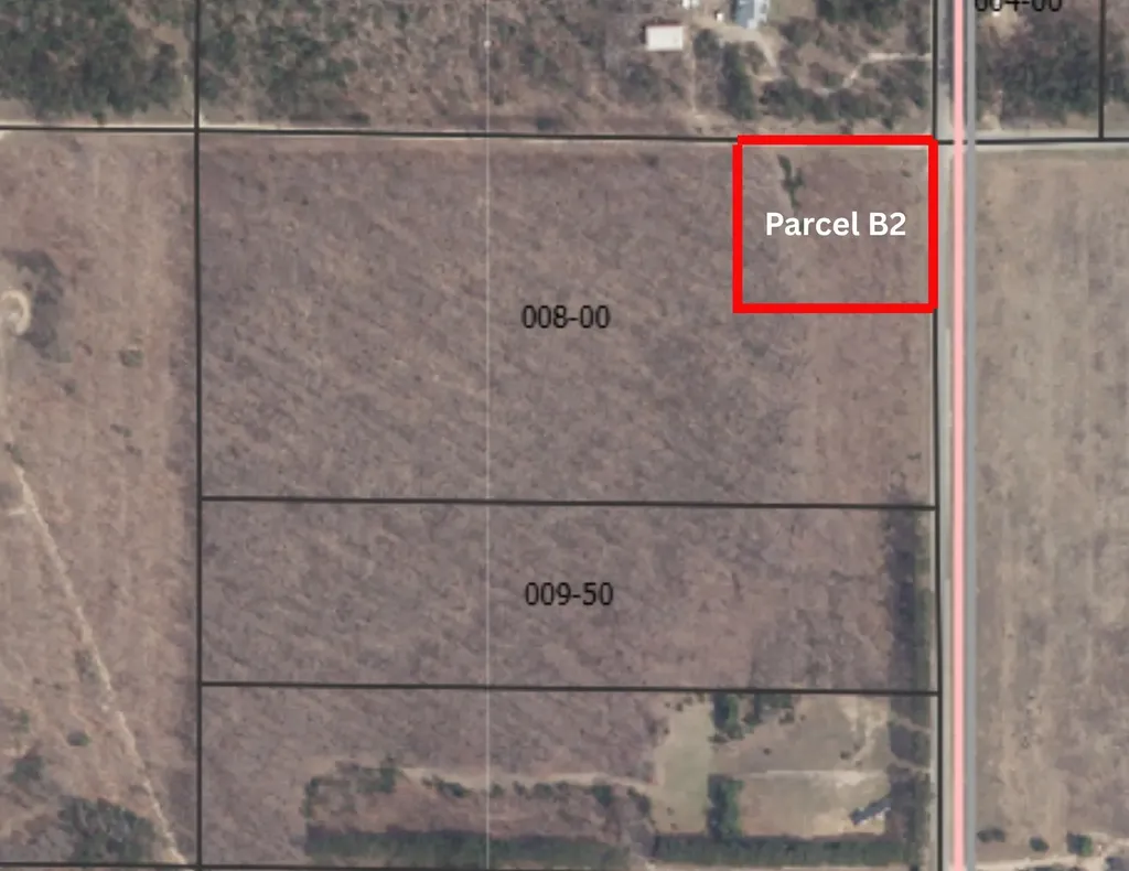 Parcel B2 Johnson Road Custer Township MI 49659