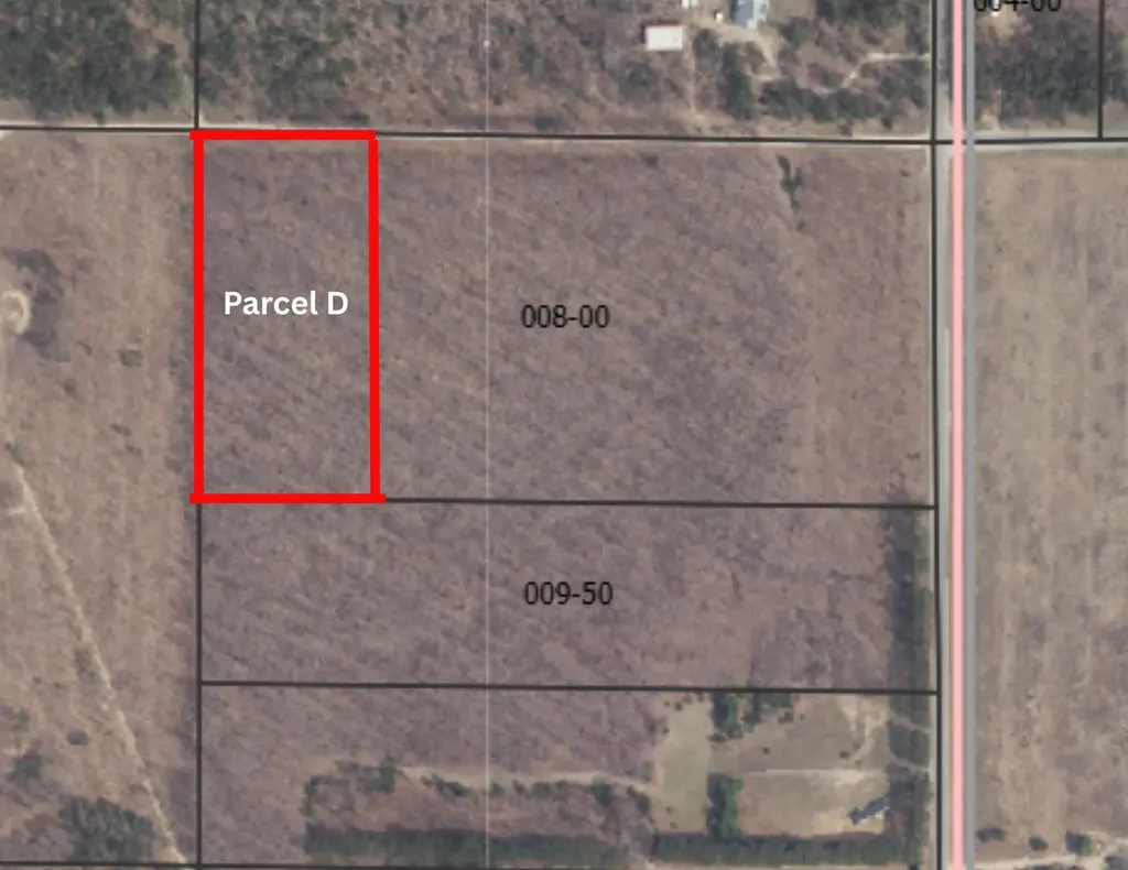 Parcel D Peterson Road Custer Township MI 49659