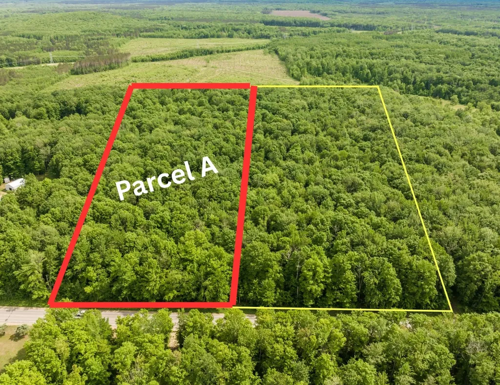 Parcel A Mancelona Road Mancelona Township MI 49659