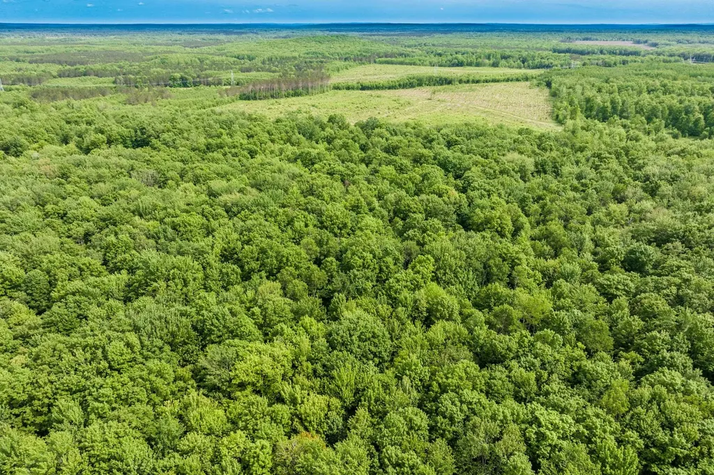 Parcel A Mancelona Road Mancelona Township MI 49659