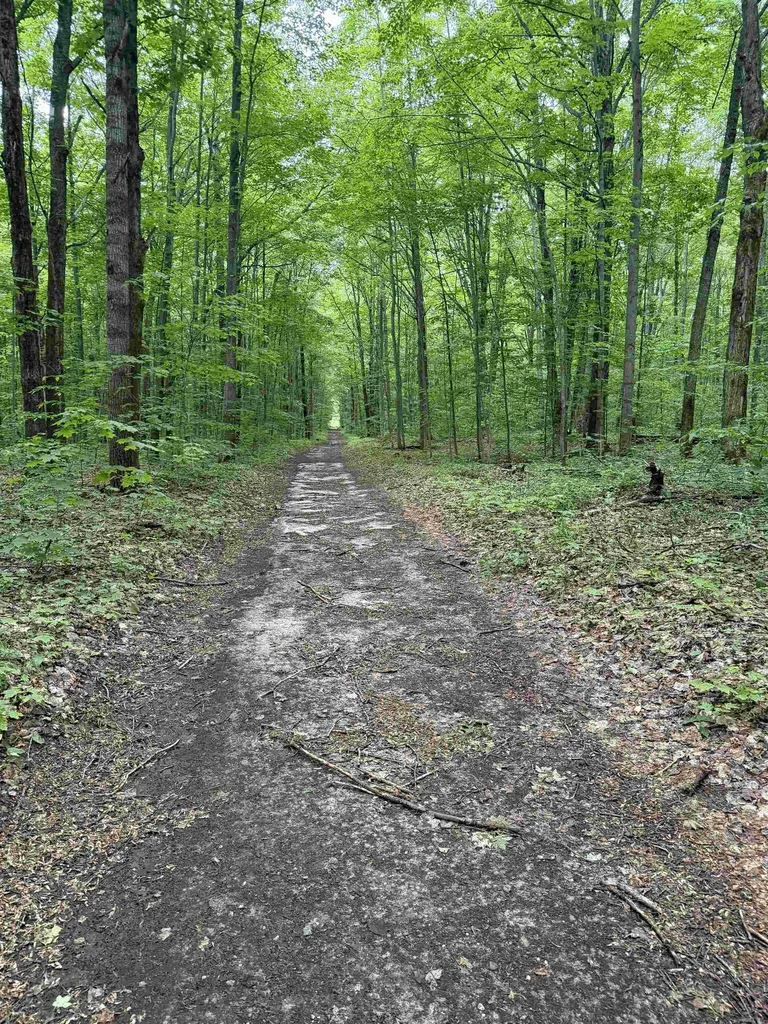 Parcel A Mancelona Road Mancelona Township MI 49659