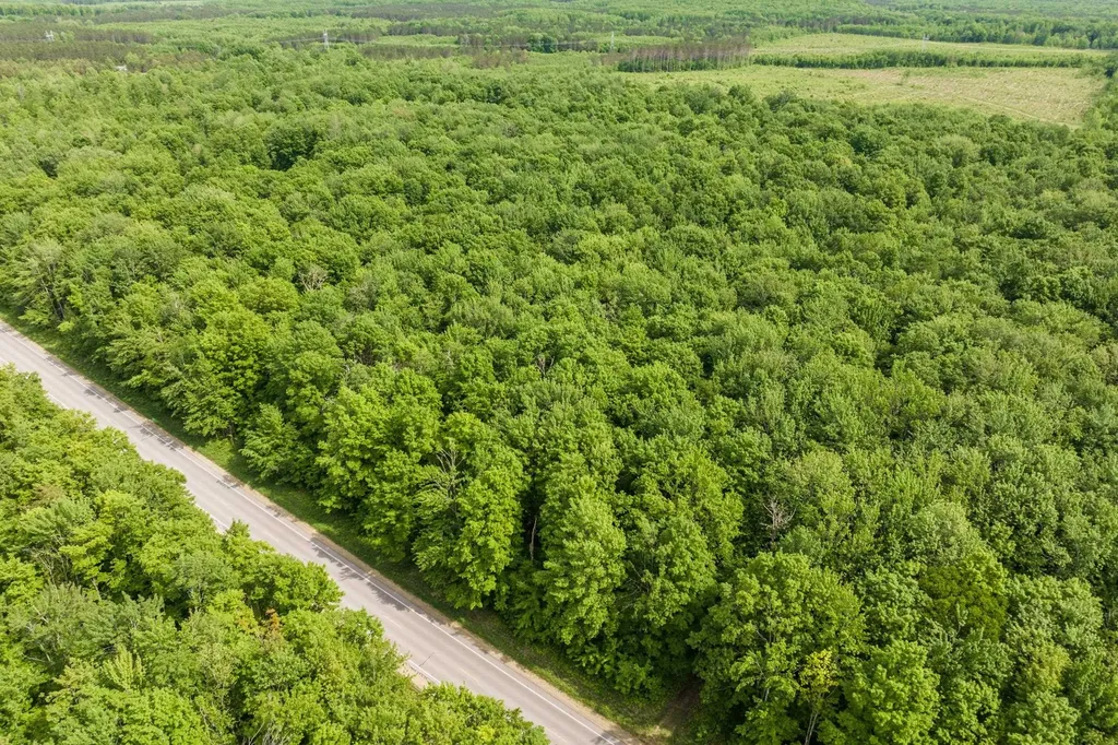 Parcel A Mancelona Road Mancelona Township MI 49659