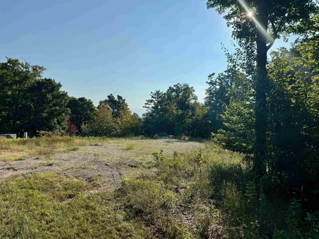 0000 W Timber Wolf Court Empire Township MI 49630