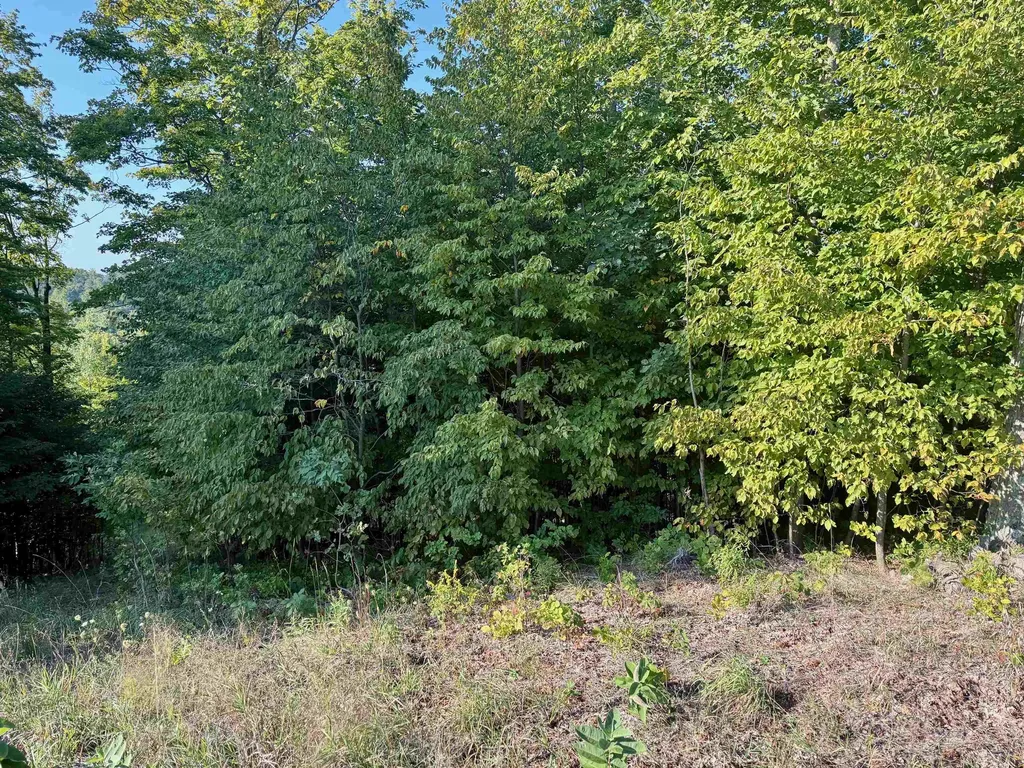 0000 W Timber Wolf Court Empire Township MI 49630
