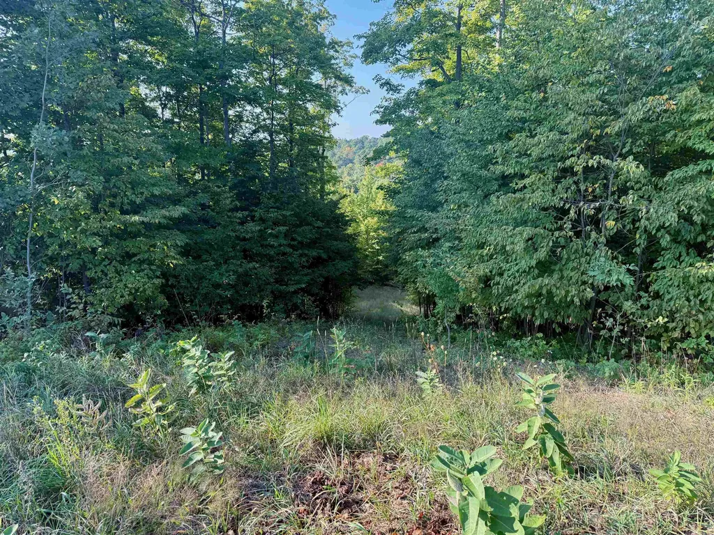 0000 W Timber Wolf Court Empire Township MI 49630