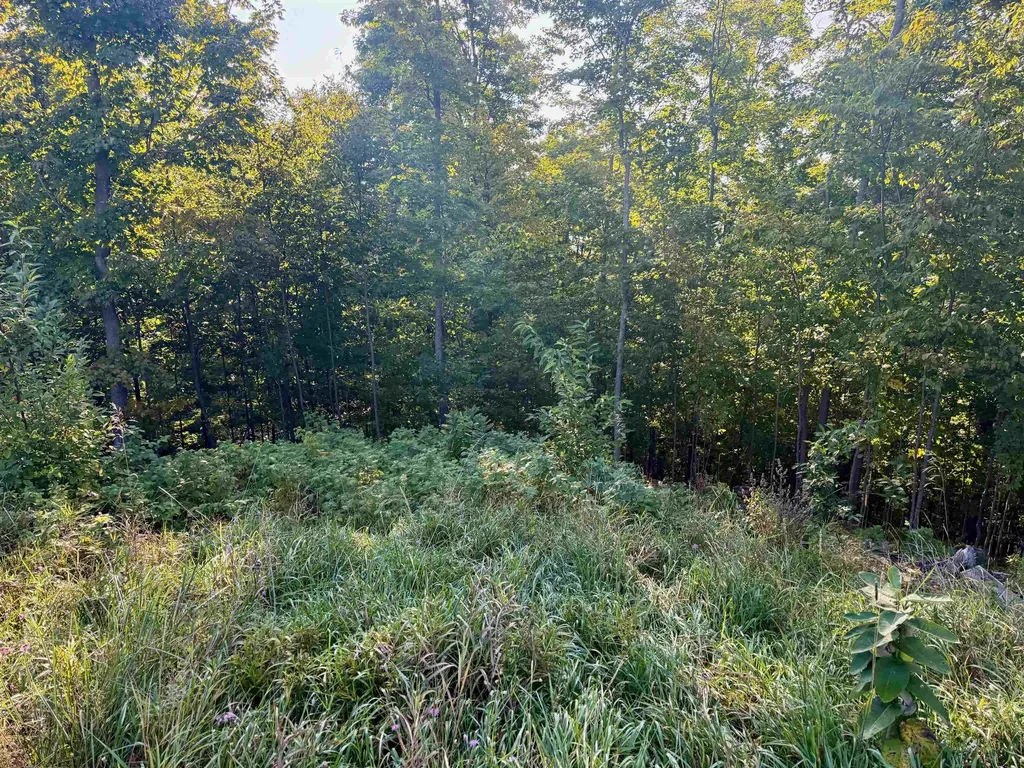 0000 W Timber Wolf Court Empire Township MI 49630