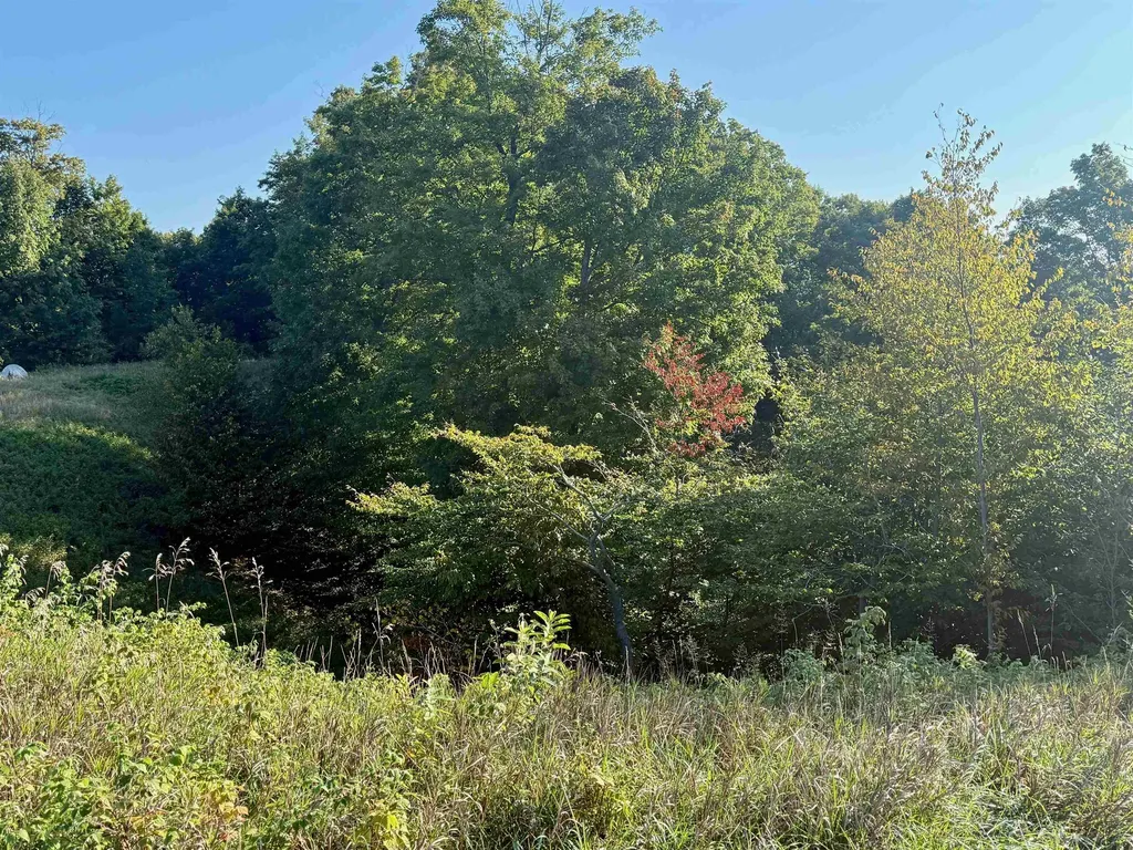 0000 W Timber Wolf Court Empire Township MI 49630