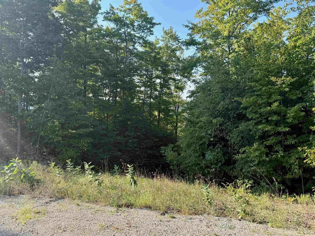 0000 W Timber Wolf Court Empire Township MI 49630