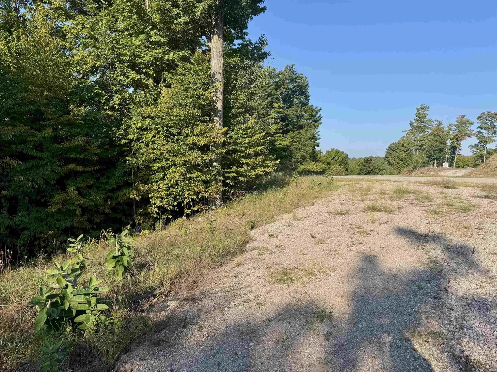 0000 W Timber Wolf Court Empire Township MI 49630