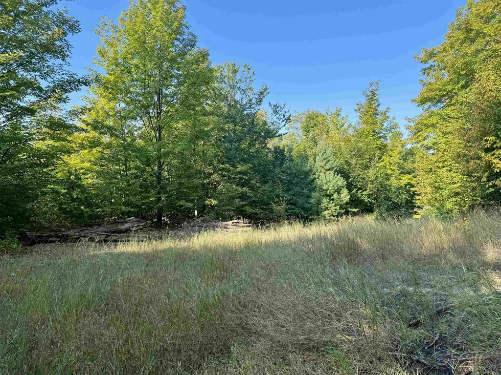 0000 W Timber Wolf Court Empire Township MI 49630