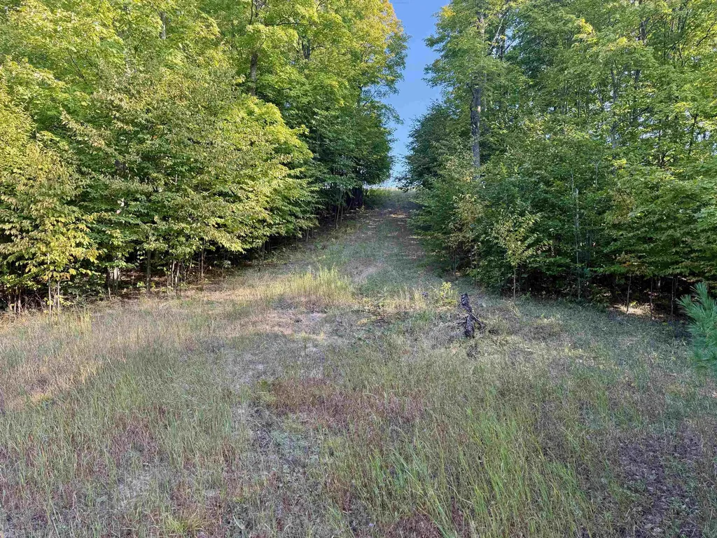 0000 W Timber Wolf Court Empire Township MI 49630