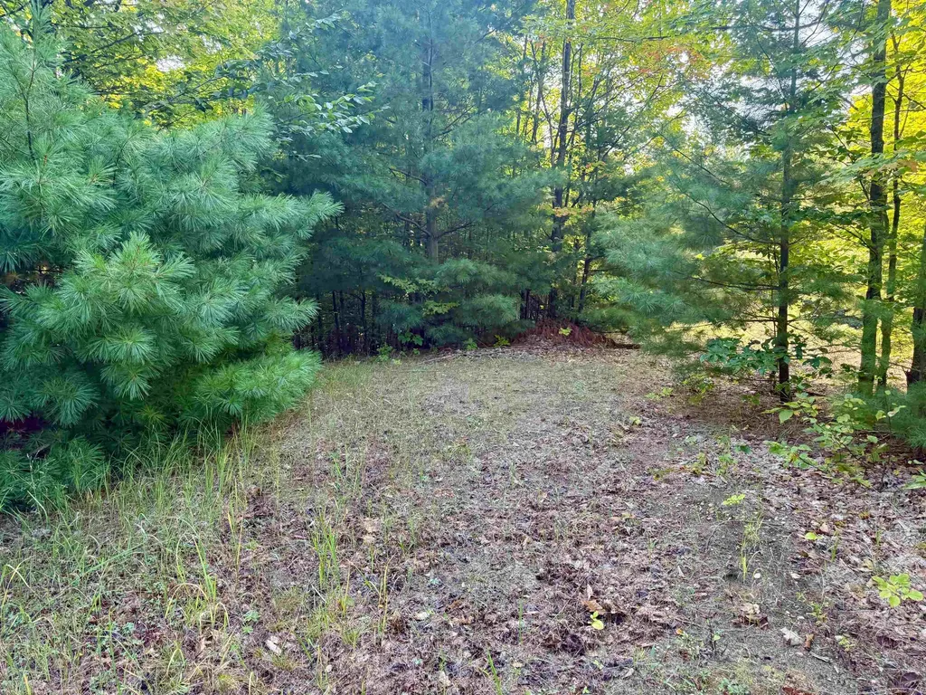 0000 W Timber Wolf Court Empire Township MI 49630