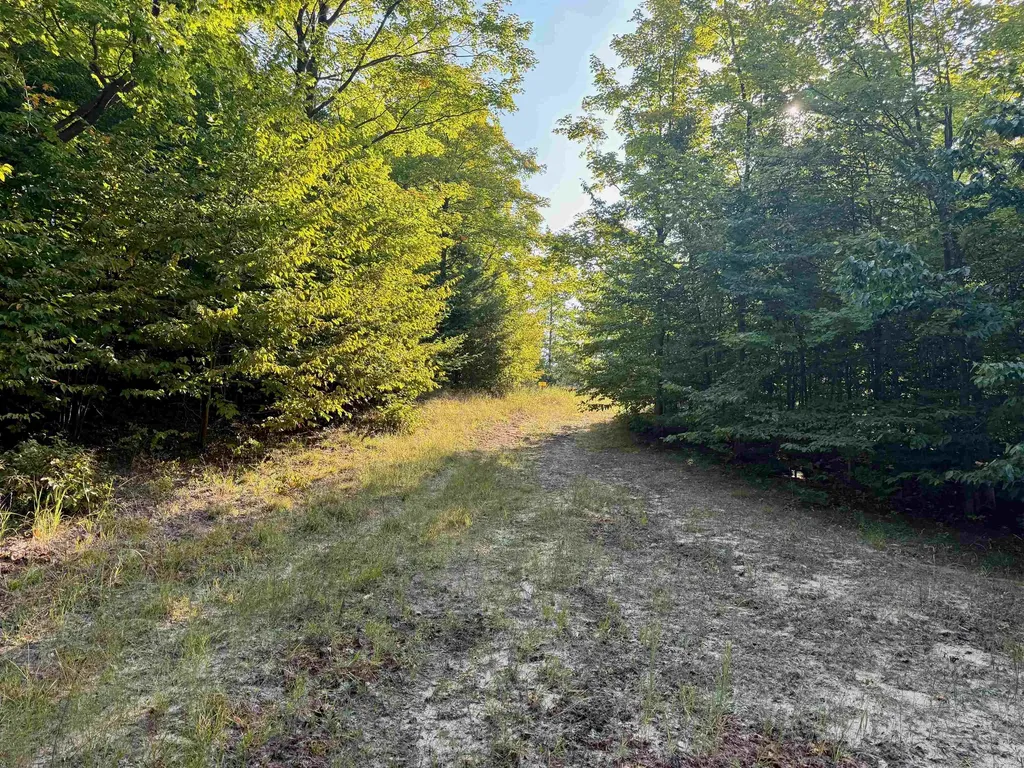 0000 W Timber Wolf Court Empire Township MI 49630