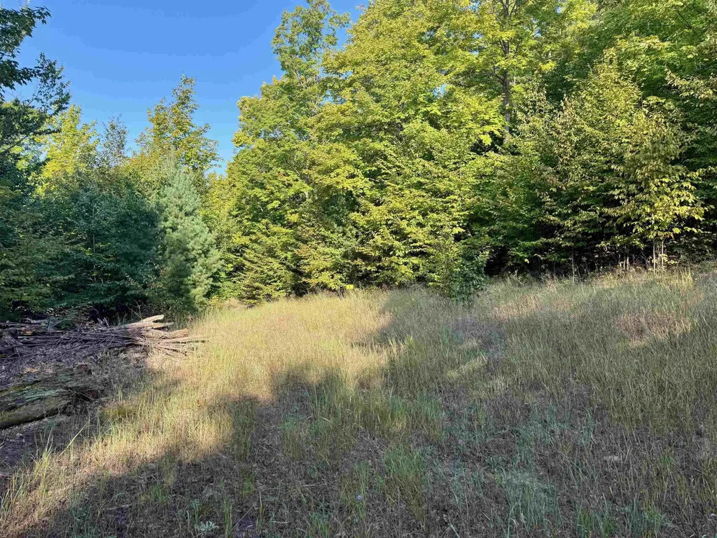 0000 W Timber Wolf Court Empire Township MI 49630