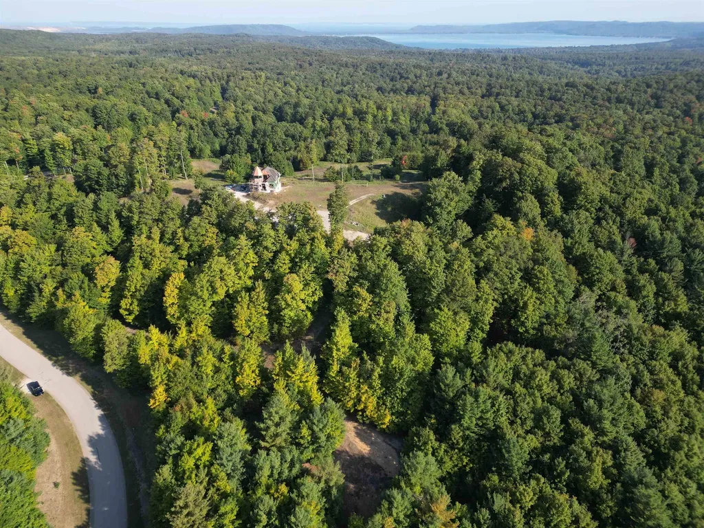 0000 W Timber Wolf Court Empire Township MI 49630
