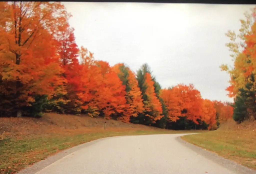 0000 W Timber Wolf Court Empire Township MI 49630