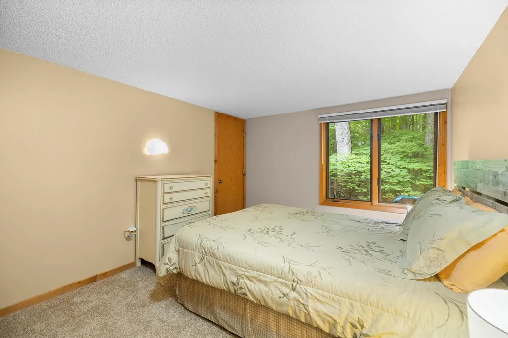 6842 Rue De Montagne Custer Township MI 49659