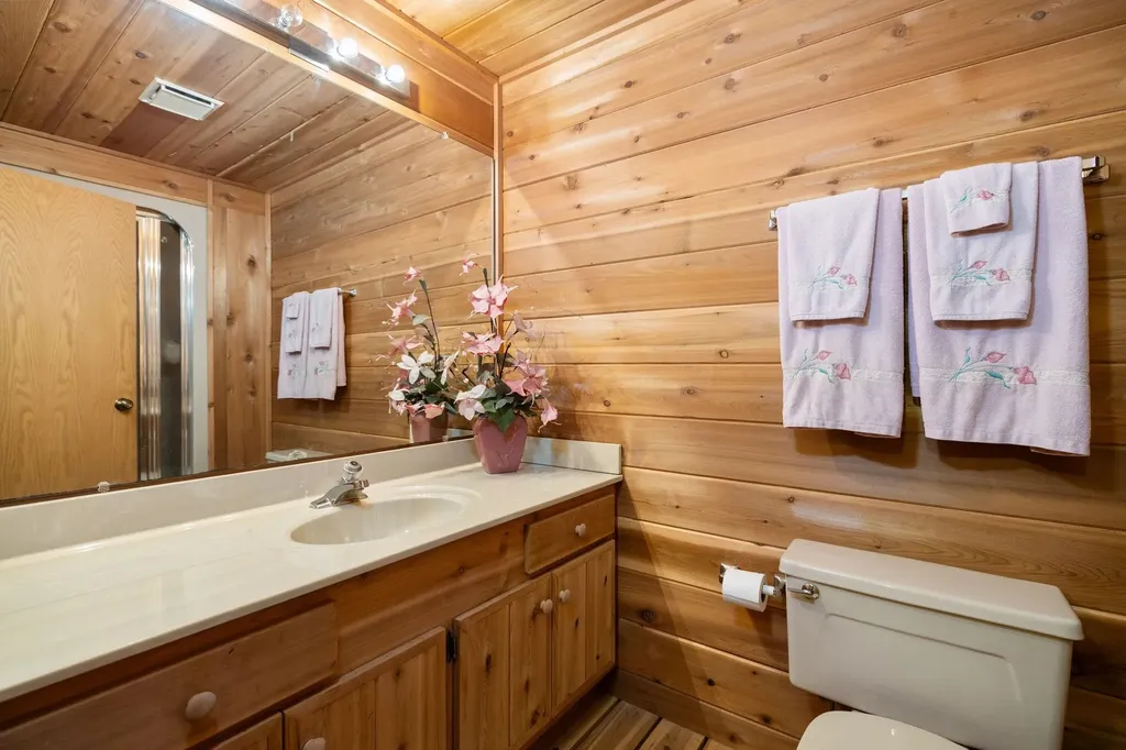 6842 Rue De Montagne Custer Township MI 49659