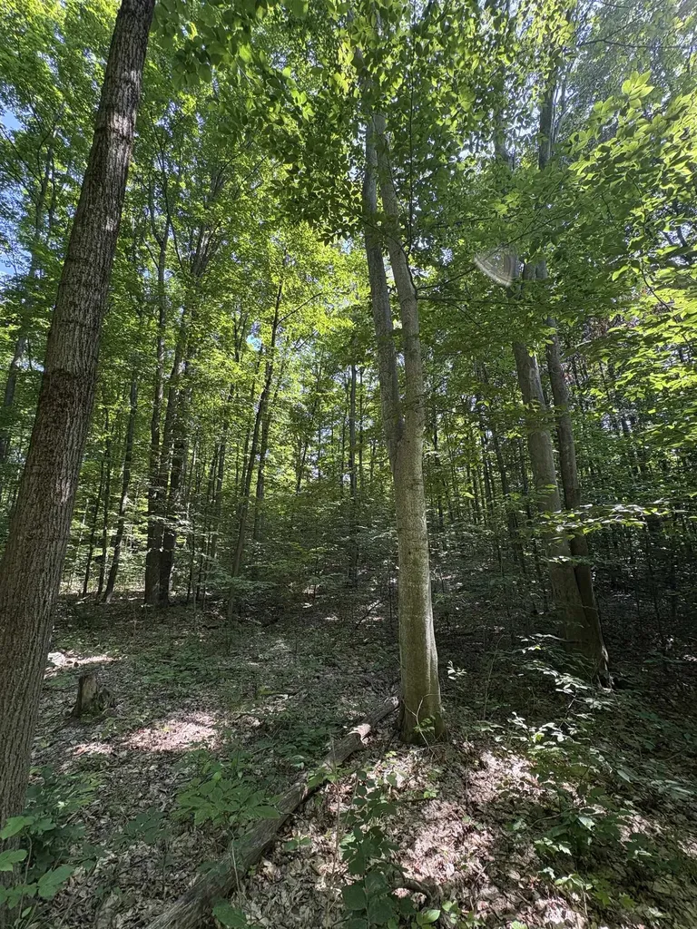 50 Acres SE Campbell Road Garfield Township MI 49633