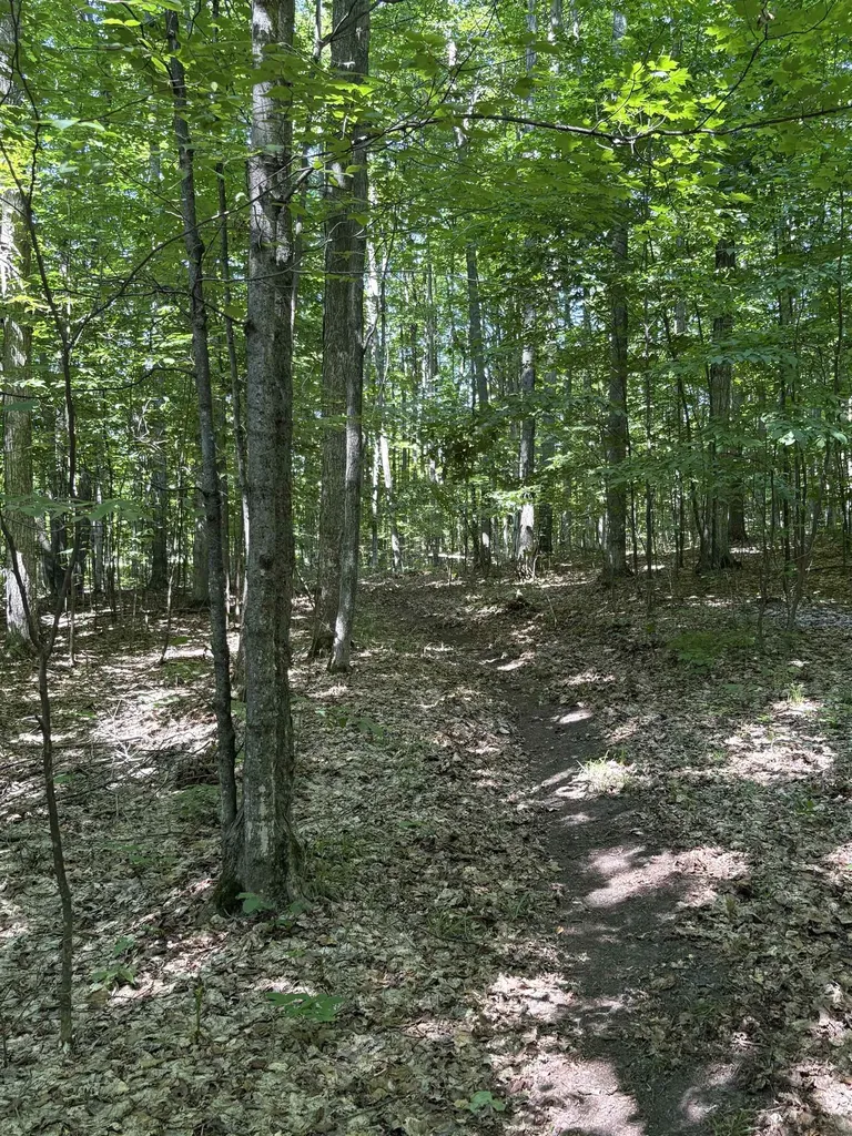 50 Acres SE Campbell Road Garfield Township MI 49633