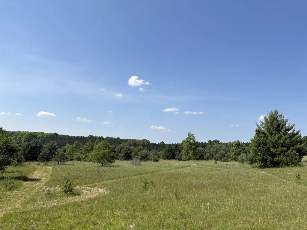 50 Acres SE Campbell Road Garfield Township MI 49633