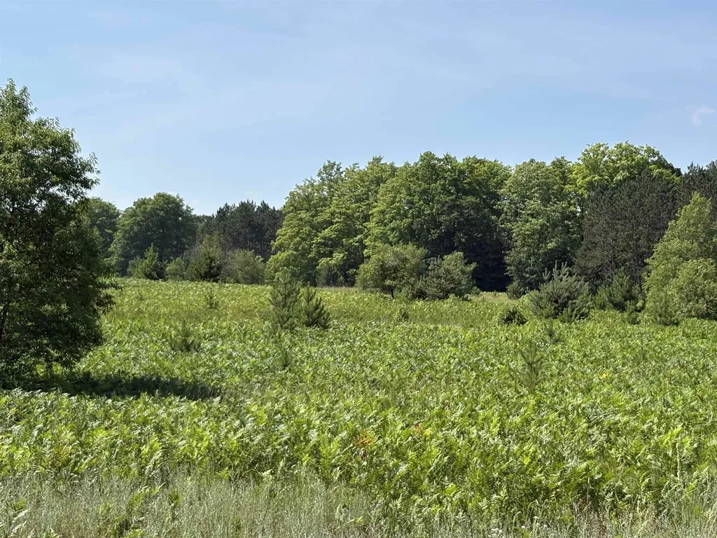 50 Acres SE Campbell Road Garfield Township MI 49633