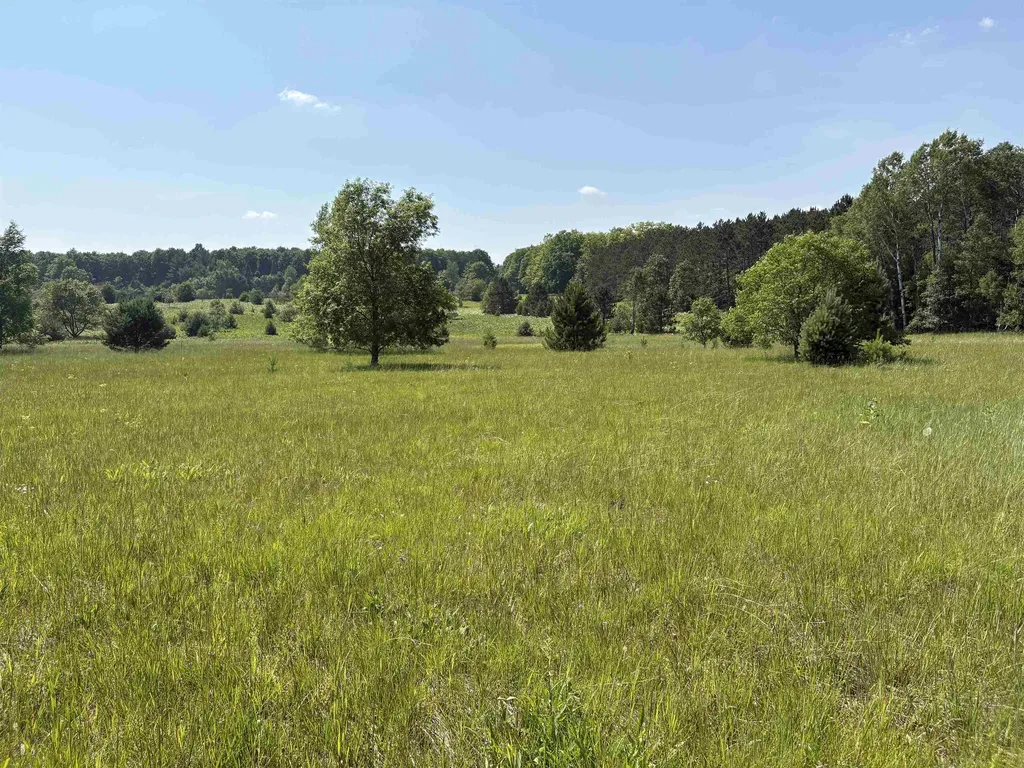 50 Acres SE Campbell Road Garfield Township MI 49633