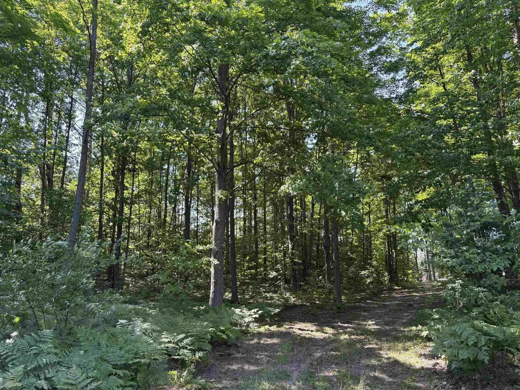 50 Acres SE Campbell Road Garfield Township MI 49633