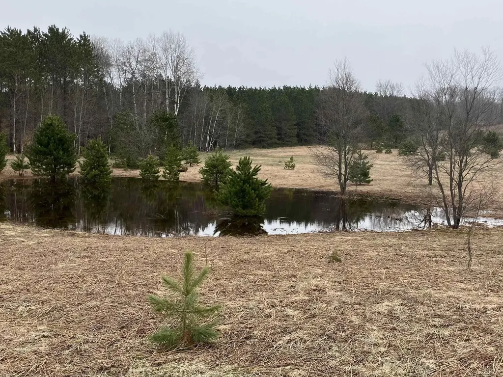 50 Acres SE Campbell Road Garfield Township MI 49633