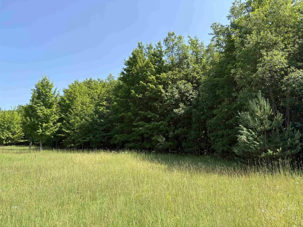 50 Acres SE Campbell Road Garfield Township MI 49633