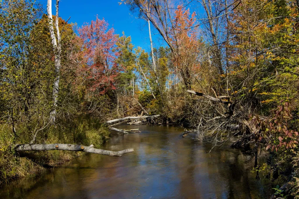 Parcels A Wild River Way Springdale Township MI 49683