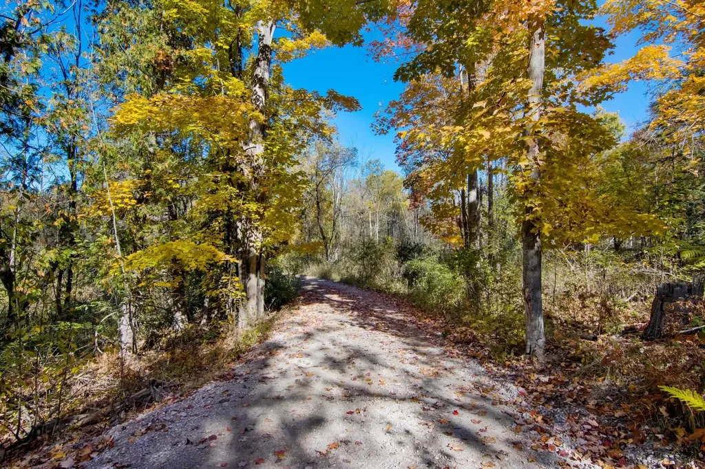 Parcels A Wild River Way Springdale Township MI 49683