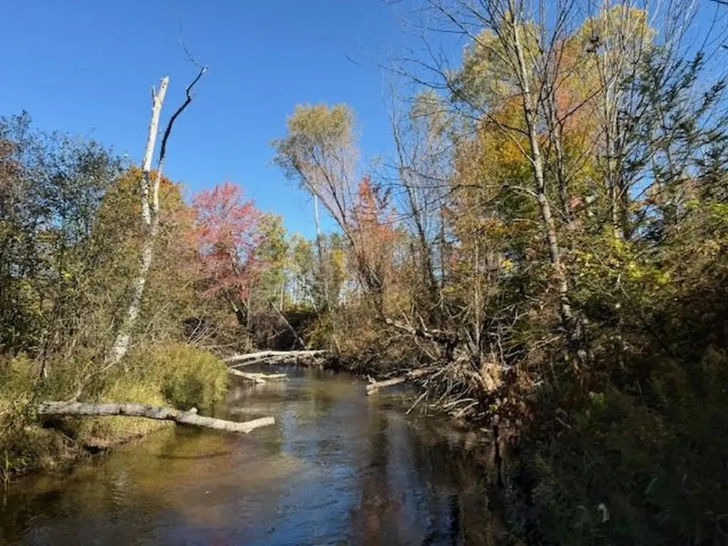Parcels A Wild River Way Springdale Township MI 49683