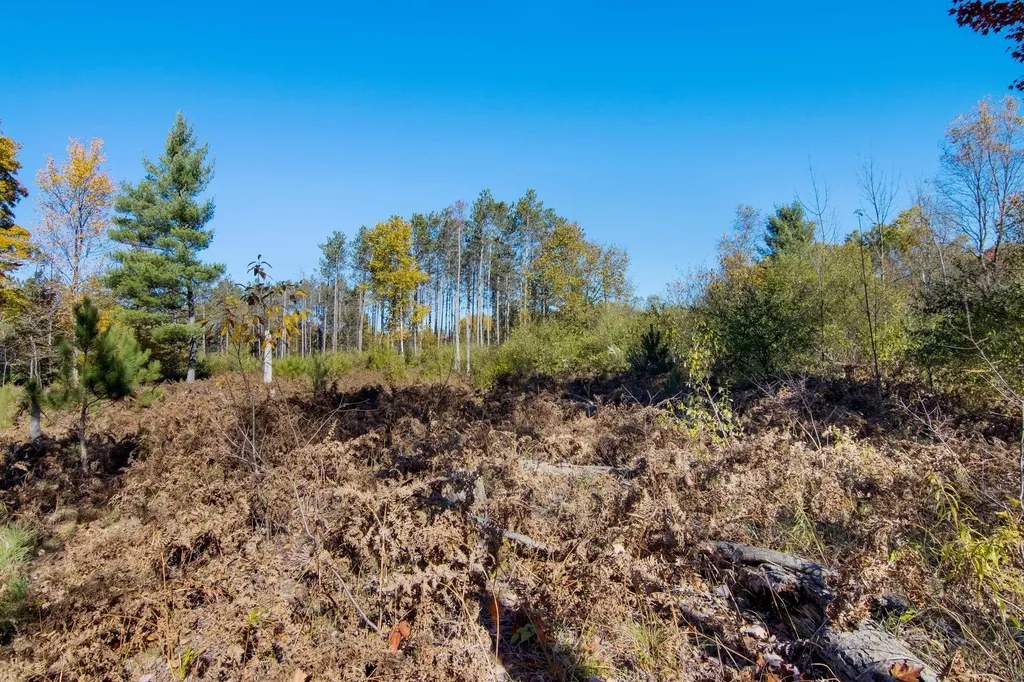 Parcels A Wild River Way Springdale Township MI 49683
