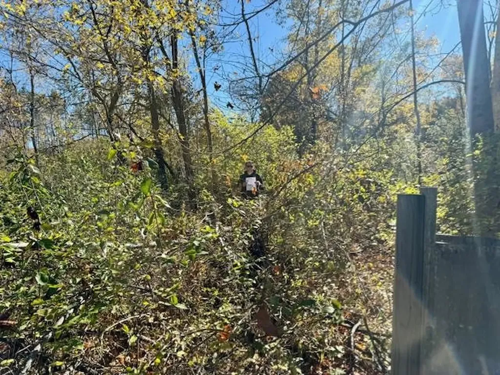 Parcels A Wild River Way Springdale Township MI 49683