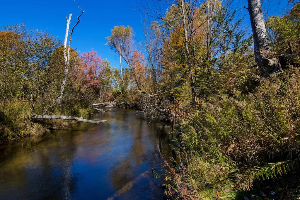 Parcels A Wild River Way Springdale Township MI 49683