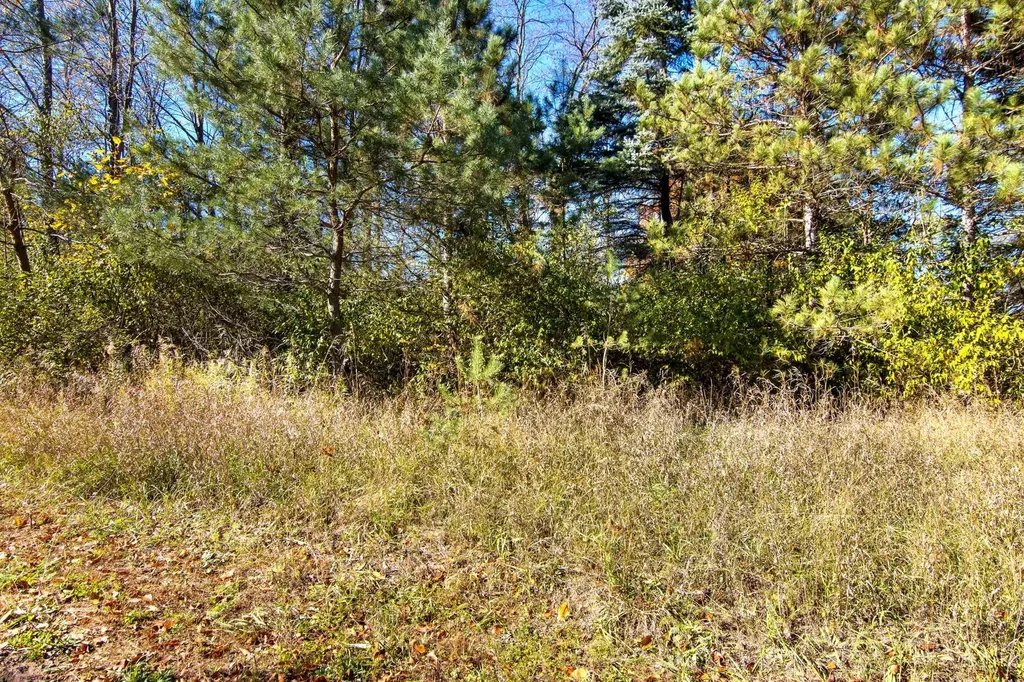 Parcels A Wild River Way Springdale Township MI 49683