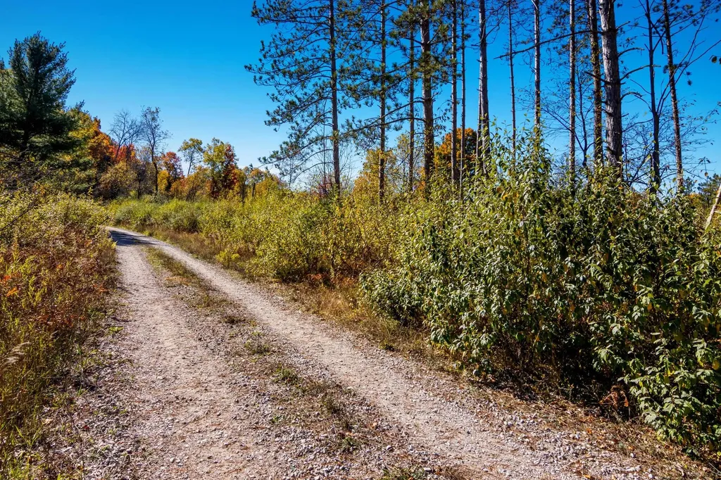 Parcels A Wild River Way Springdale Township MI 49683