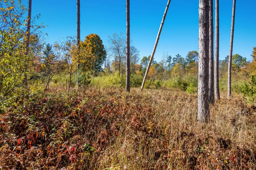 Parcels A Wild River Way Springdale Township MI 49683