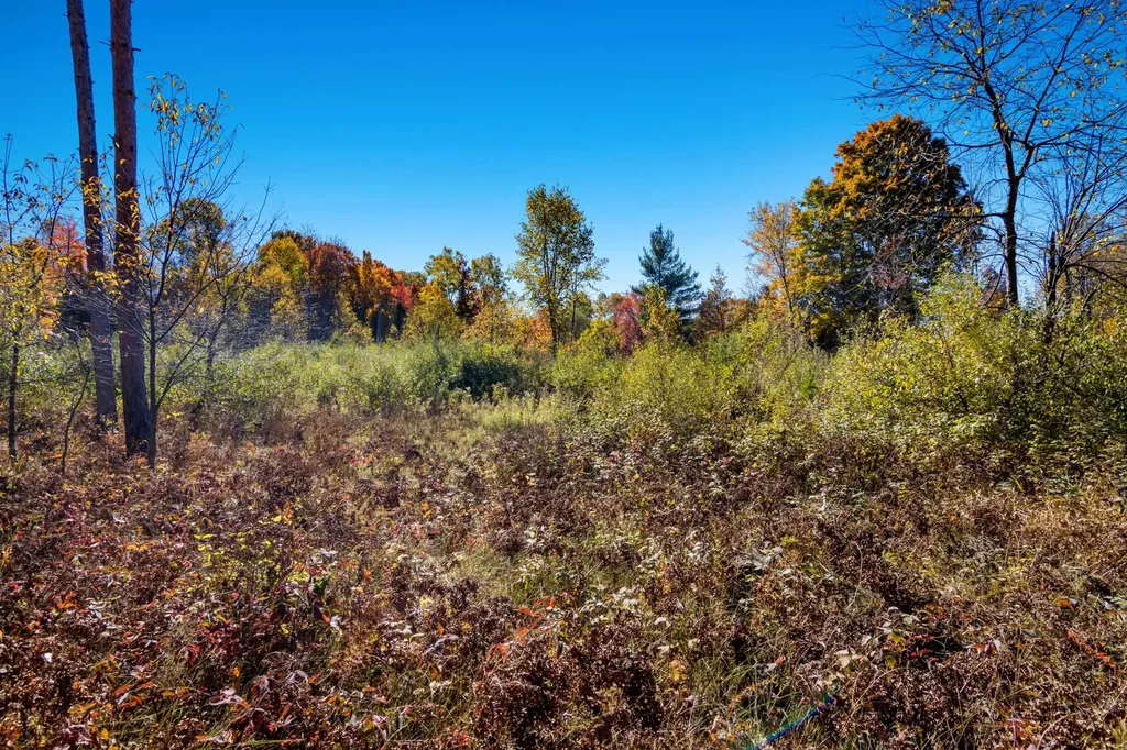 Parcels A Wild River Way Springdale Township MI 49683