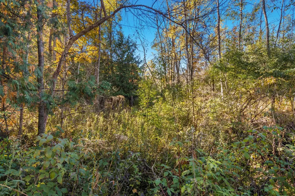Parcels A Wild River Way Springdale Township MI 49683