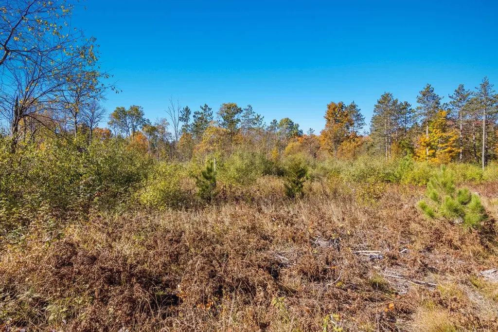 Parcels A Wild River Way Springdale Township MI 49683