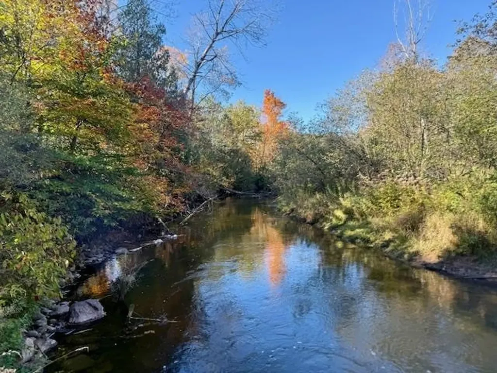 Parcels A Wild River Way Springdale Township MI 49683