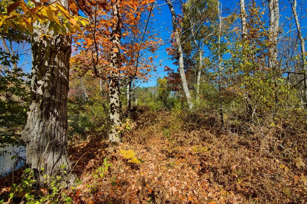 Parcels A Wild River Way Springdale Township MI 49683