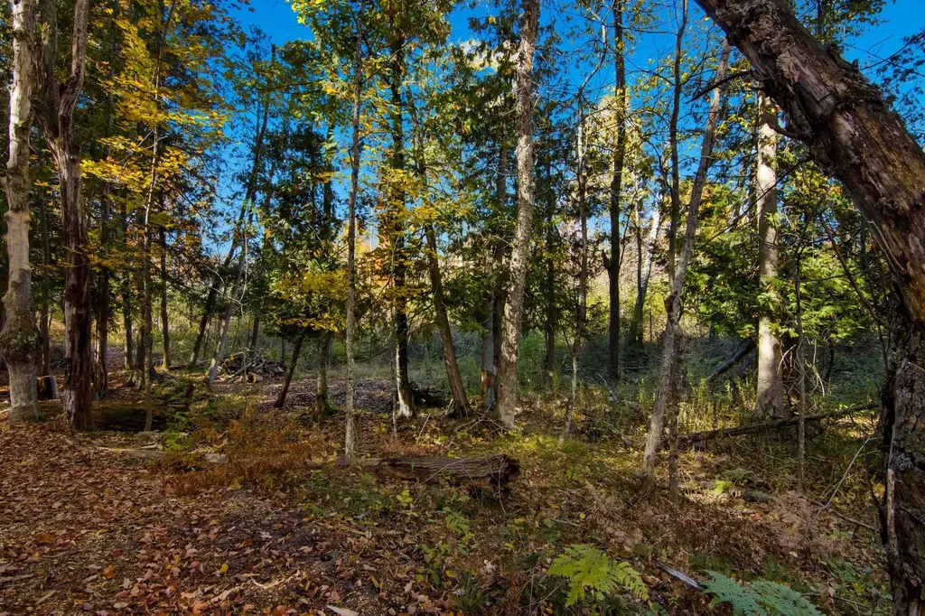 Parcels A Wild River Way Springdale Township MI 49683